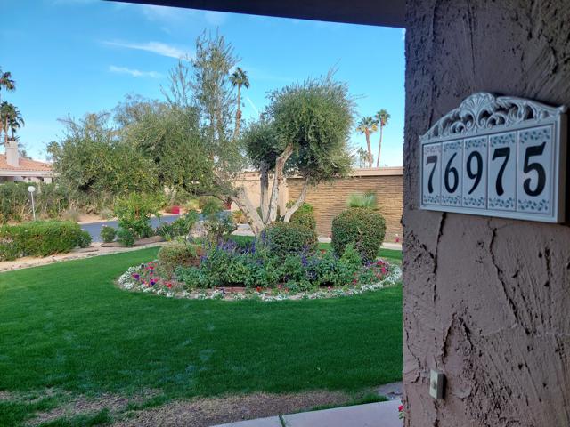 Image 3 of 22 For 76975 Roadrunner