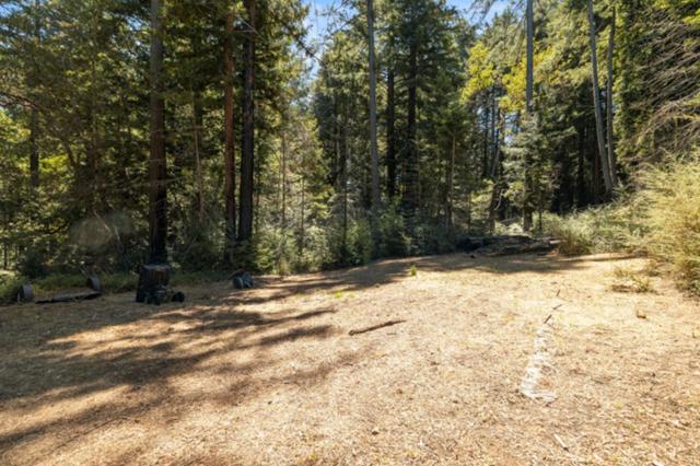 2472 Fanning Grade, Ben Lomond CA: https://media.crmls.org/mediaz/836ed67c-d40f-40bc-adda-7474584af462.jpg