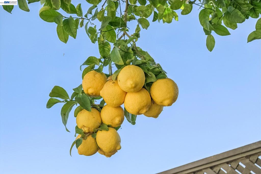 https://media.crmls.org/mediaz/83731f12-4f79-42c9-882d-2dcd48c23a05.jpg?preset=X-Large