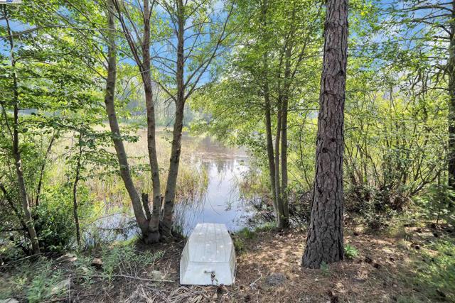 13567 Raccoon Mountain Rd, Grass Valley CA: https://media.crmls.org/mediaz/83769a10-3f3f-4b6b-9b67-4281a183322c.jpg