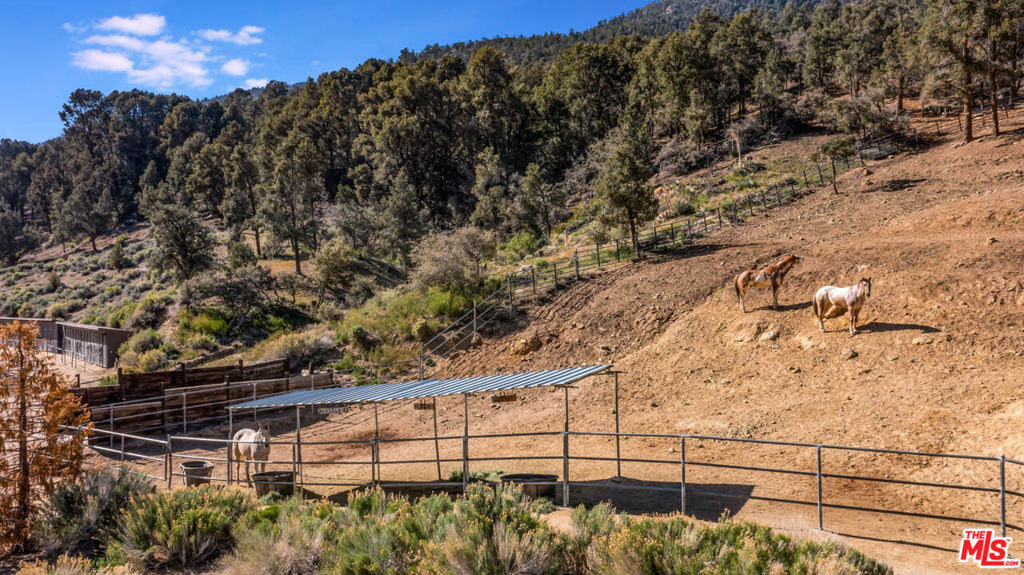 MLS #25495733 image #30