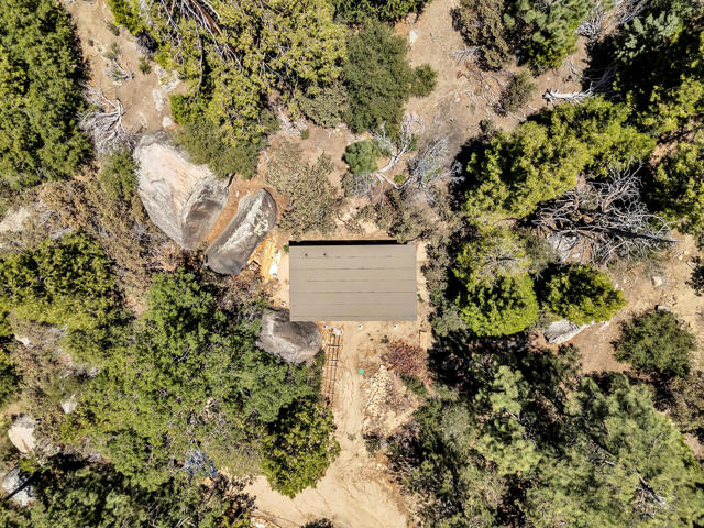 DJI_20250707122341_0076_D copy