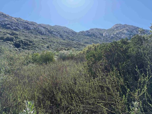 0 Wildcat Canyon Road, Lakeside CA: https://media.crmls.org/mediaz/8389ca33-e394-41d6-af5c-115023d6efd3.jpg