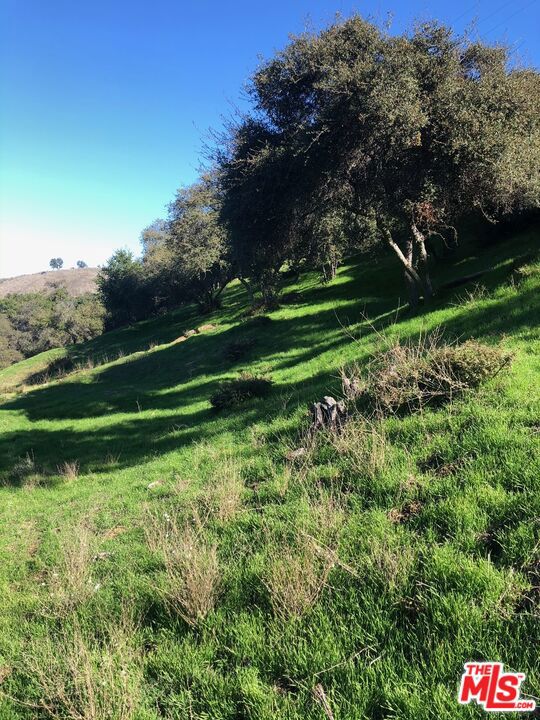 3330 Old Topanga Canyon Road, Topanga CA: https://media.crmls.org/mediaz/838bf1ab-ce46-4bd1-923b-65aace8f3dc3.jpg