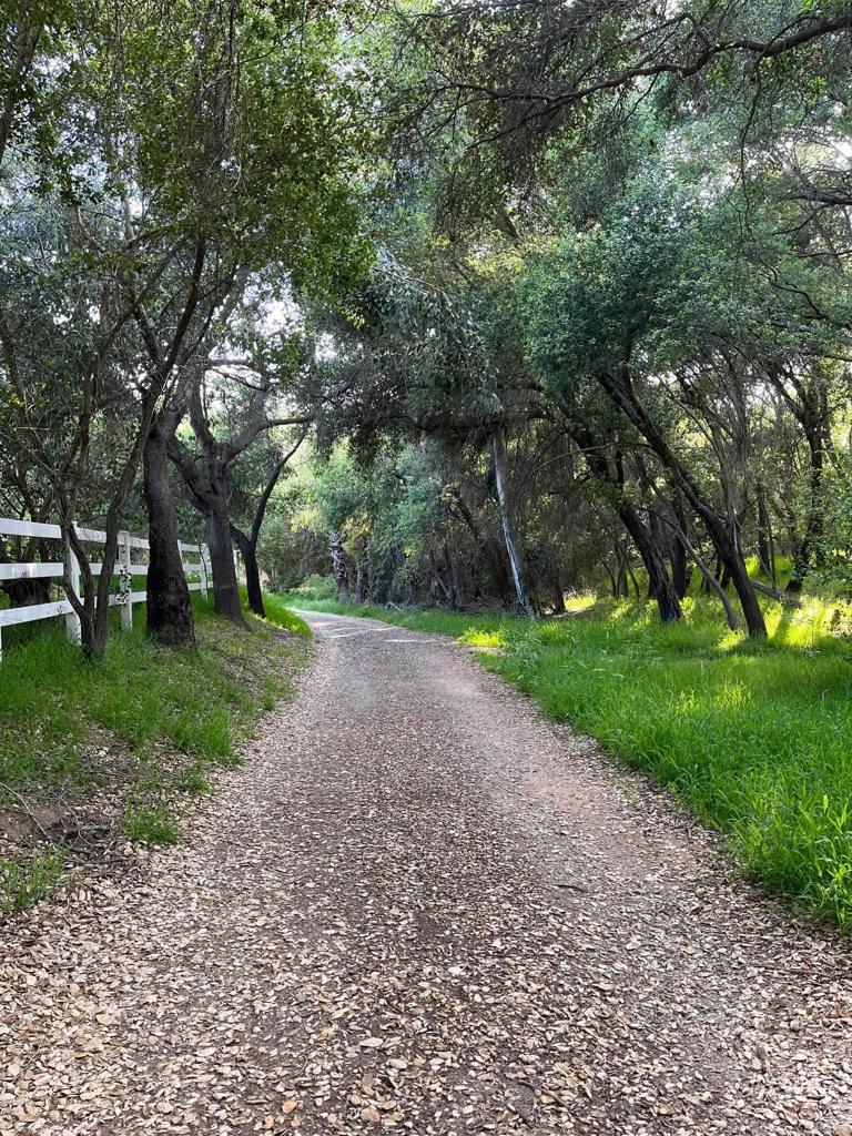 15426 Vali Hai Rd - photo 6