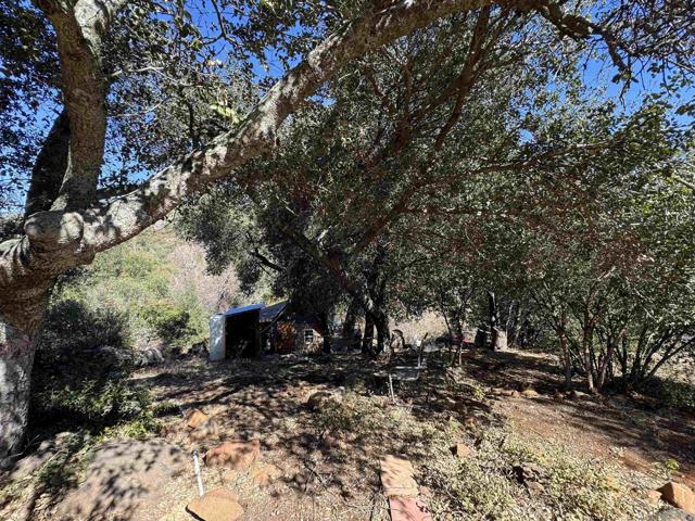 26779 Old Highway 80, Descanso, California 91916, 1 Bedroom Bedrooms, ,1 BathroomBathrooms,Single Family Residence,For Sale,Old Highway 80,250019235SD