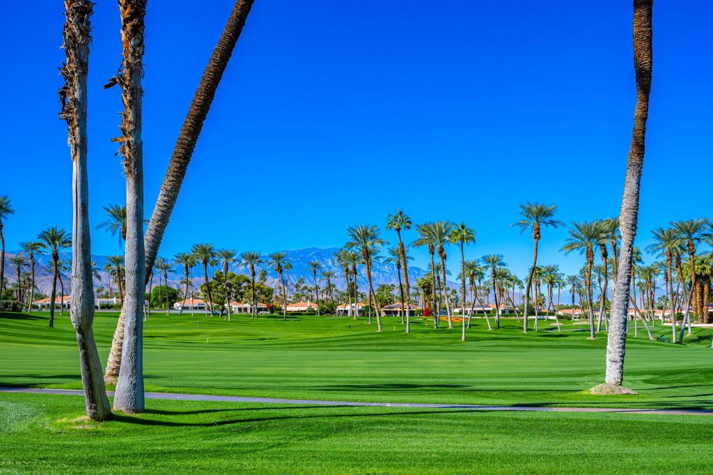 MLS #219138462DA image #39