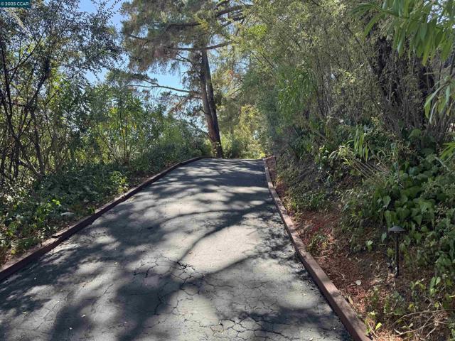 919 Janet Ln, Lafayette CA: https://media.crmls.org/mediaz/8399a99d-5aad-4908-a49a-cecbcb6e47e4.jpg