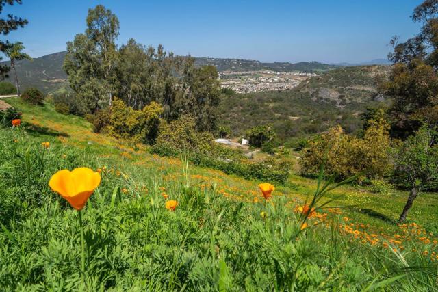 Detail Gallery Image 22 of 35 For 2702 Country Club Dr, Escondido,  CA 92029 - 4 Beds | 3 Baths