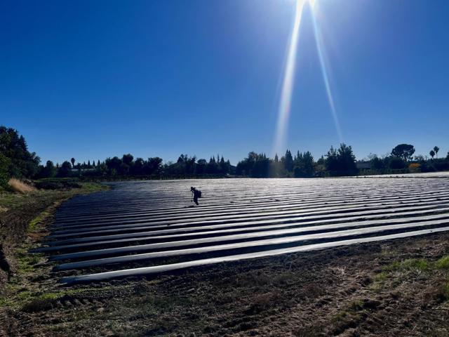 7314 Santa Juanita Avenue, Orangevale CA: https://media.crmls.org/mediaz/839fb86d-9b39-4d95-b2ab-64e3e0d9829c.jpg