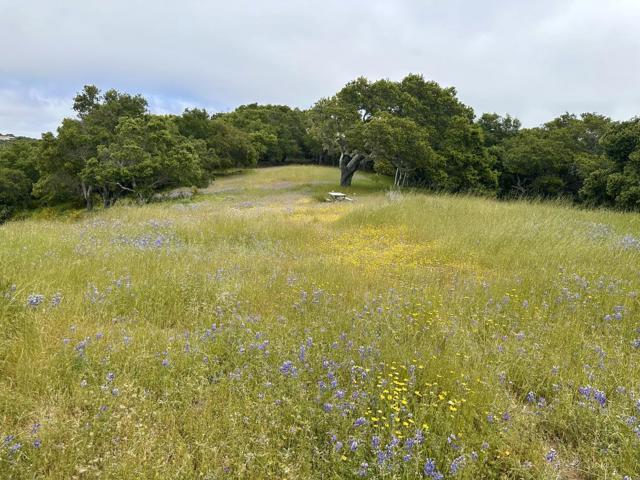8 Corral Run, Carmel CA: https://media.crmls.org/mediaz/83a12121-743e-43de-8a84-1dc3ab2ee24e.jpg