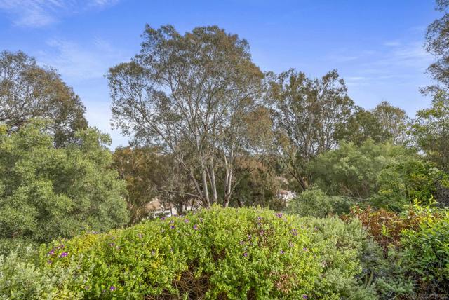 8871 Caminito Primavera, La Jolla CA: https://media.crmls.org/mediaz/83a20a94-fbcb-422c-84f8-1f8d734e6fb5.jpg