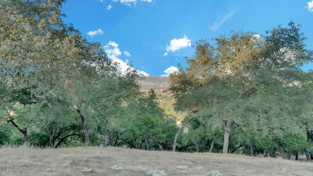 MLS #ML82019099 image #11