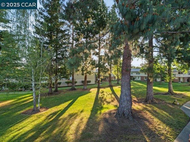 1818 Wildbrook Ct, Concord CA: https://media.crmls.org/mediaz/83b1ef95-391b-499d-87b8-ab963d907d6c.jpg