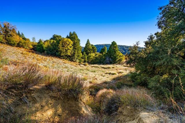 Detail Gallery Image 12 of 33 For 0 State Park Rd, Palomar Mountain,  CA 92060 - – Beds | – Baths