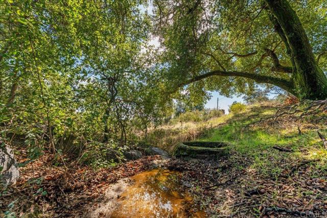Detail Gallery Image 68 of 71 For 31308 Highway 94, Campo,  CA 91906 - 4 Beds | 2/1 Baths