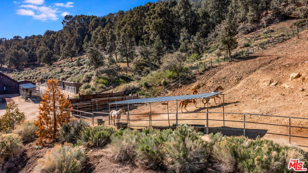 MLS #25495733 image #29