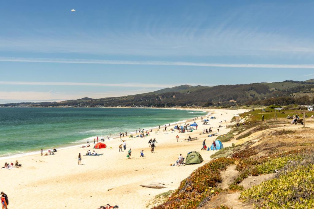 MLS #ML82002457 img 64