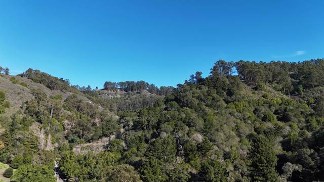 Image 5 of 8 For 1488 Alvarado Rd.