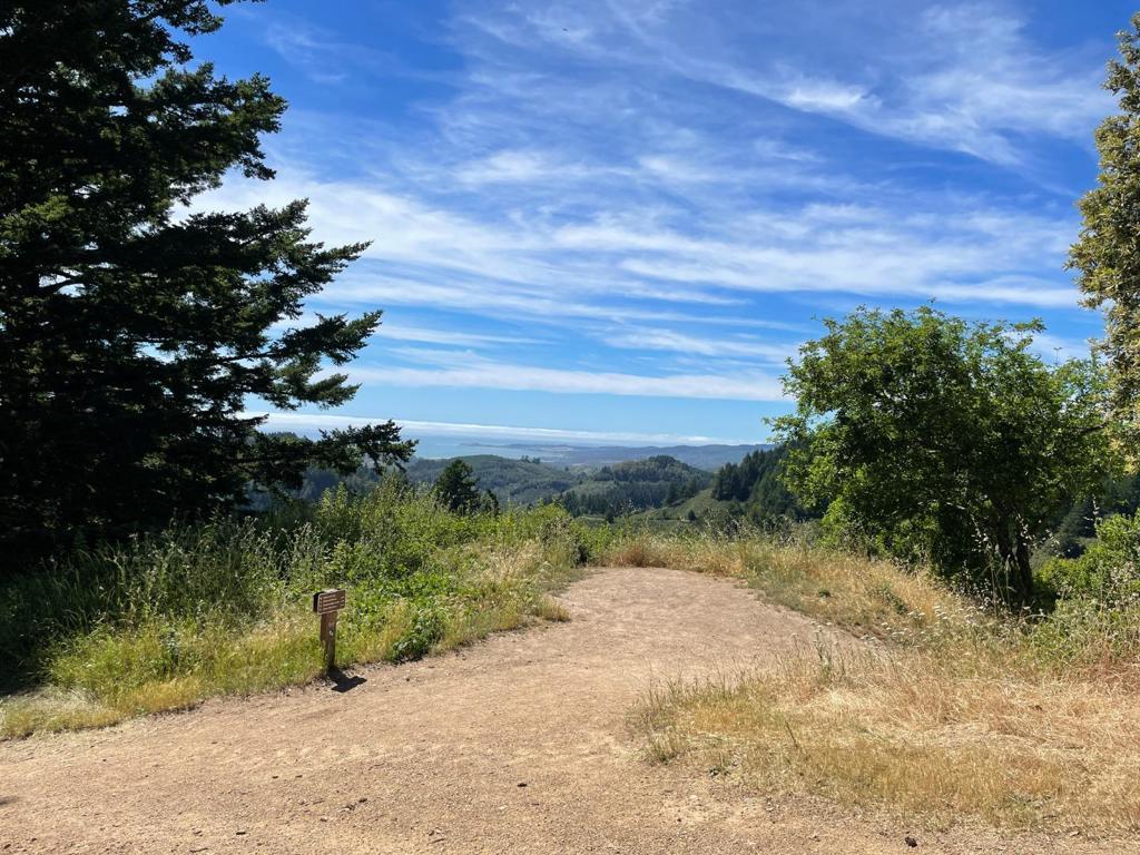 MLS #ML81979482 image #27