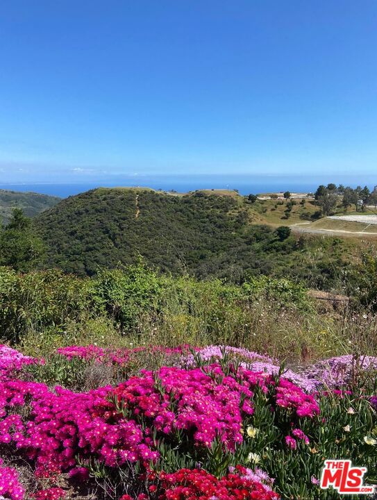 Drew Fenton | 23208 W Paloma Blanca Drive Malibu CA | MLS: 7205706