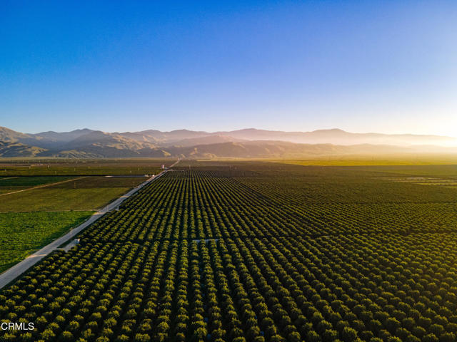 Detail Gallery Image 59 of 59 For 14500 Maricopa Hwy, Bakersfield,  CA 93311 - 5 Beds | 4 Baths