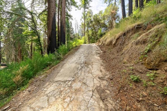 1035 Rambling Road, Boulder Creek CA: https://media.crmls.org/mediaz/83e4e658-a84c-4382-add7-cab698acc0af.jpg