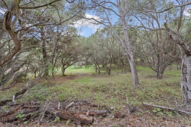 0 Campagna Way, Royal Oaks CA: https://media.crmls.org/mediaz/83e66736-fd7b-4033-ad6b-32f3609a60bb.jpg