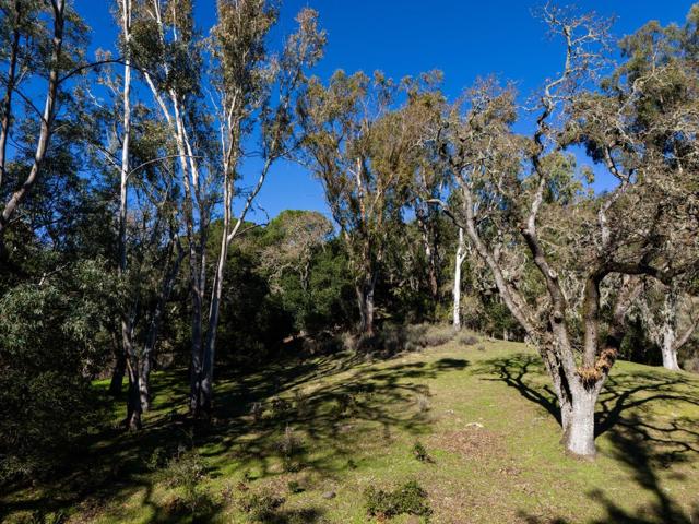 23200 Encinal Court, Los Altos Hills CA: https://media.crmls.org/mediaz/83f129af-dbb9-4231-bdb5-4cde540d8d88.jpg