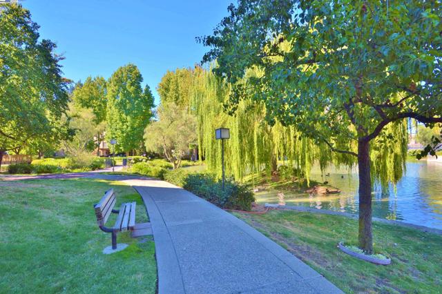 320 N Civic Dr, Walnut Creek CA: https://media.crmls.org/mediaz/83f86075-6a57-486f-9f44-1c76676a6d01.jpg