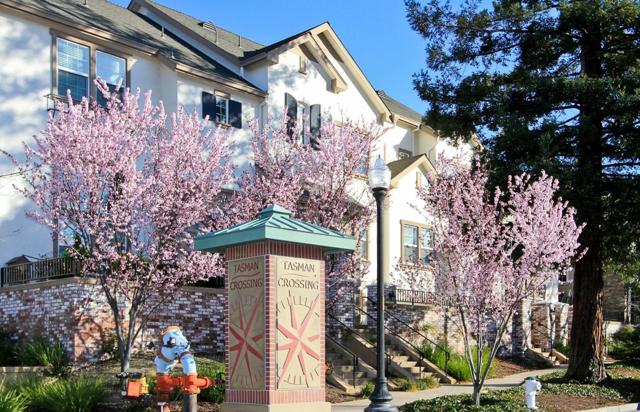 1129 Munich Terrace, Sunnyvale CA: https://media.crmls.org/mediaz/83fa9c29-2331-4f4b-ba88-b2b4ececdd20.jpg