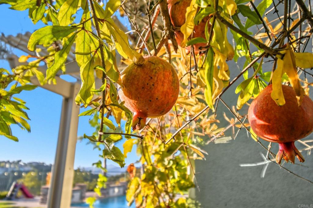https://media.crmls.org/mediaz/83fd6340-0a9c-4b3b-8a31-4f7bb73f65e0.jpg?preset=X-Large