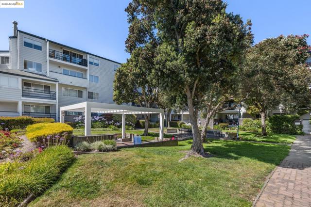 1205 Melville Sq, Richmond CA: https://media.crmls.org/mediaz/8403e746-ad1a-44a6-bfa0-418e33ae6116.jpg