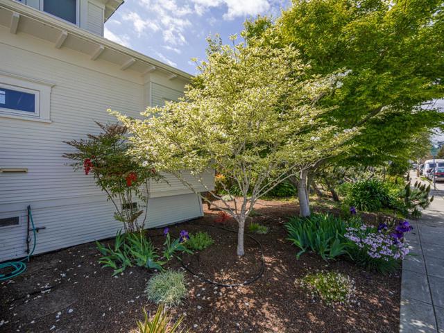 215 Trescony Street, Santa Cruz CA: https://media.crmls.org/mediaz/84103fa8-e347-4fe3-ac1b-e807b03be4f7.jpg
