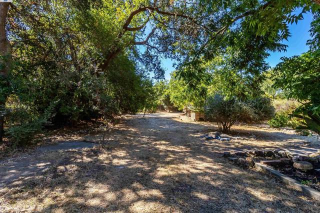 1069 Coombsville Rd, Napa CA: https://media.crmls.org/mediaz/84124df6-0bf3-41eb-bcc6-82b259d60b1a.jpg