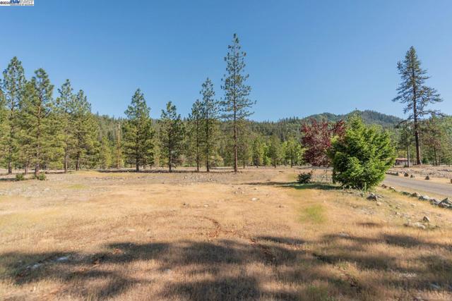 430 Bridge Rd, Douglas City CA: https://media.crmls.org/mediaz/841b6868-c585-46b9-ae7f-1fd453ed8119.jpg