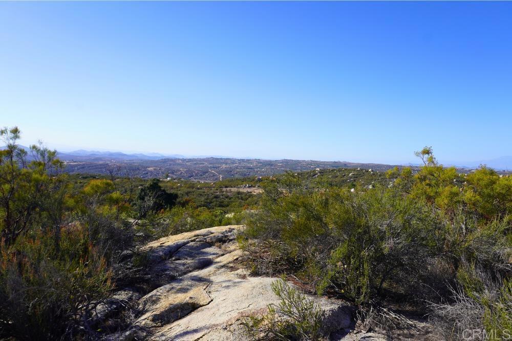 MLS #PTP2507282 image #8