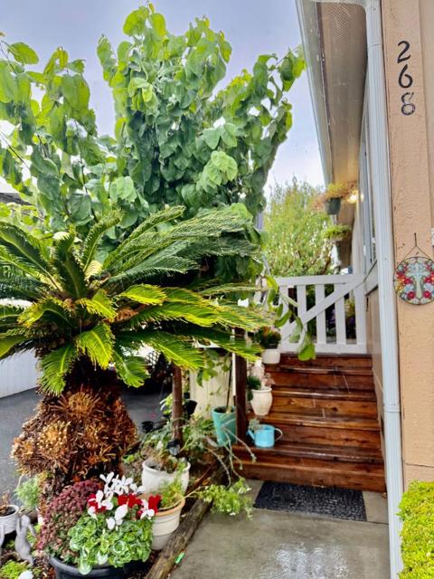 165 Blossom Hill #268 Road, San Jose CA: https://media.crmls.org/mediaz/8423a0e5-322f-4567-84c9-7d35d55dbdd9.jpg