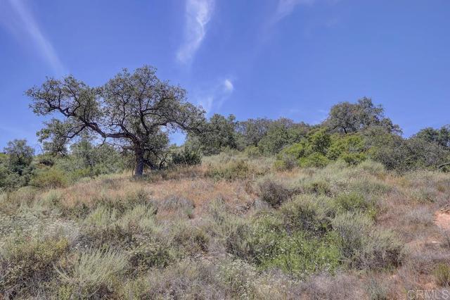 0 Camino Estribo, Temecula CA: https://media.crmls.org/mediaz/8430f377-add7-46c9-8781-677df52fd542.jpg