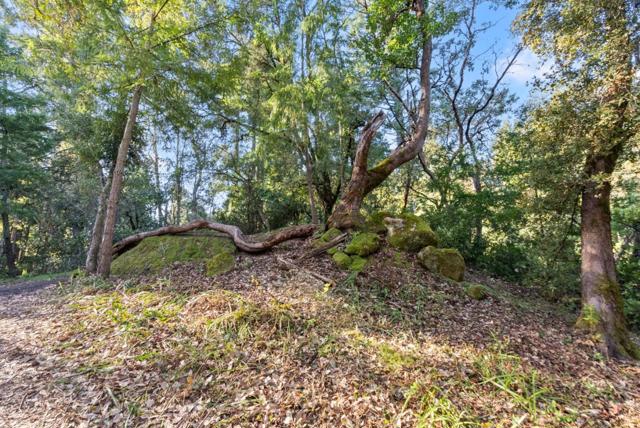 0 Allen, Woodside CA: https://media.crmls.org/mediaz/8431bece-be97-416f-befc-0e9aa0ebc40a.jpg