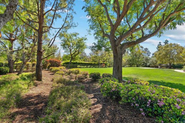 Detail Gallery Image 56 of 73 For 6260 Lago Lindo, Rancho Santa Fe,  CA 92067 - 6 Beds | 6/2 Baths