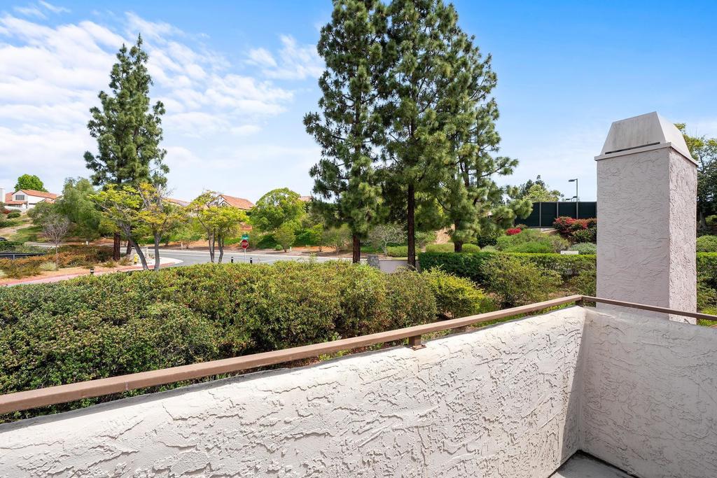 11875 Caminito Ronaldo - photo 16