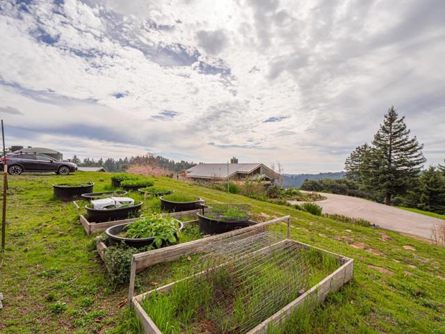 1584 Tindall Ranch Road, Corralitos CA: https://media.crmls.org/mediaz/84578c7b-4569-474b-ae7f-74349d14ff08.jpg