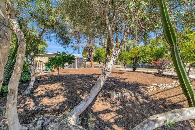 9200 Lamar St, Spring Valley, California 91977, 4 Bedrooms Bedrooms, ,2 BathroomsBathrooms,Single Family Residence,For Sale,Lamar St,250019816SD