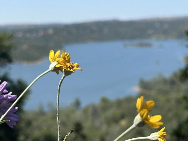 1119 Montauk Vista,  CA: https://media.crmls.org/mediaz/845fd476-351e-46ae-8cf4-ff746124fb11.jpg