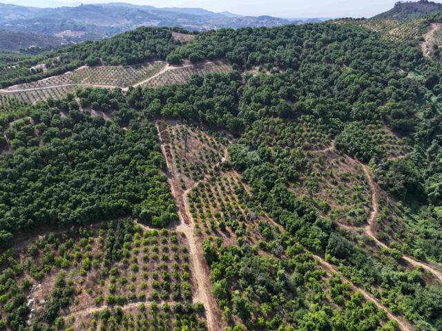 45711 Camaron Road, Temecula CA: https://media.crmls.org/mediaz/8466a9e0-c103-47d8-984f-ad05d8604ab4.jpg