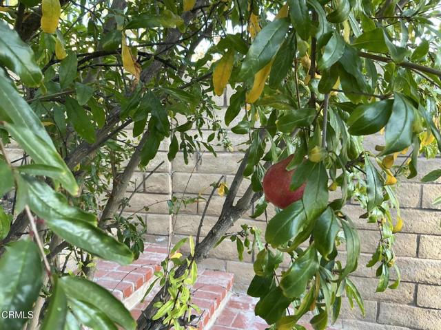 MLS #V1-33325 image #42