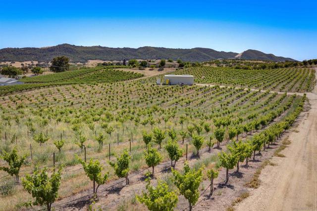 5720 Vista Serrano Way, Paso Robles CA: https://media.crmls.org/mediaz/8473a663-9312-4ed5-90cb-874312ae9c7a.jpg