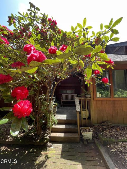 32691 Pearl Drive, Fort Bragg CA: https://media.crmls.org/mediaz/84785512-b3cf-4d74-90f7-4c78cb16d14a.jpg