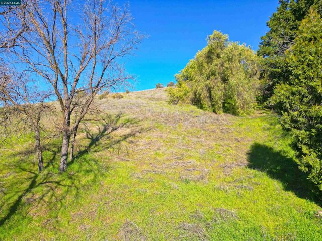 Image 2 of 9 For 2590 Caballo Ranchero Dr